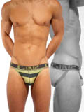 C-IN2 Pop Stripes Street Jock - Dark Spruce