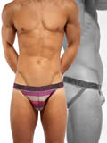 C-IN2 Pop Stripes Street Jock - Winter Wheat